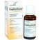 EUPHORBIUM D3  30ML