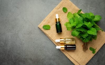 Essential oil of peppermint in bottle with fresh green peppermint